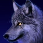 Martin__33